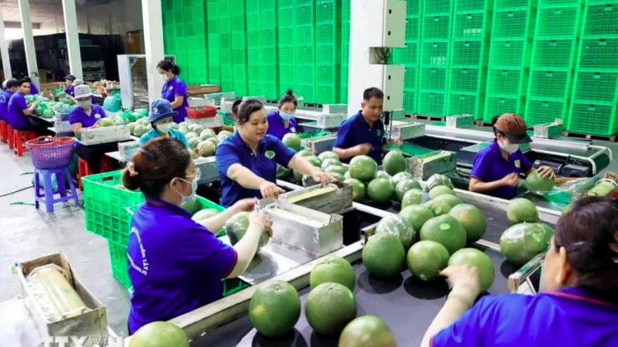 New markets help fruit exports grow to record revenues